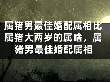 属猪男最佳婚配属相比属猪大两岁的属啥，属猪男最佳婚配属相
