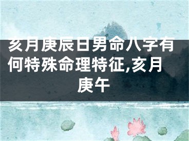 亥月庚辰日男命八字有何特殊命理特征,亥月庚午