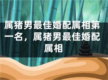属猪男最佳婚配属相第一名，属猪男最佳婚配属相