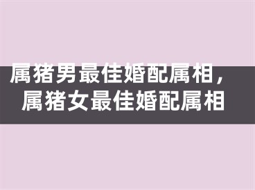 属猪男最佳婚配属相，属猪女最佳婚配属相