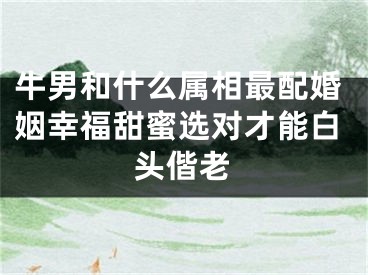 牛男和什么属相最配婚姻幸福甜蜜选对才能白头偕老