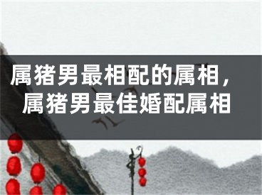 属猪男最相配的属相，属猪男最佳婚配属相