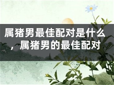 属猪男最佳配对是什么，属猪男的最佳配对