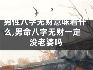 男性八字无财意味着什么,男命八字无财一定没老婆吗