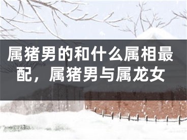 属猪男的和什么属相最配，属猪男与属龙女