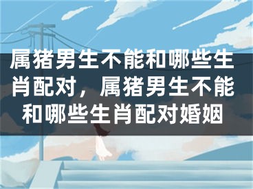 属猪男生不能和哪些生肖配对，属猪男生不能和哪些生肖配对婚姻
