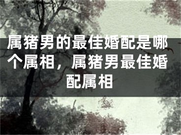 属猪男的最佳婚配是哪个属相，属猪男最佳婚配属相