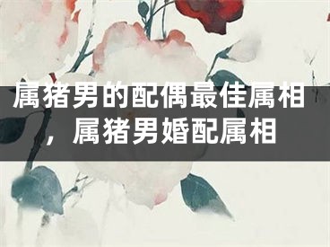 属猪男的配偶最佳属相，属猪男婚配属相