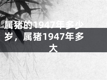 属猪的1947年多少岁，属猪1947年多大
