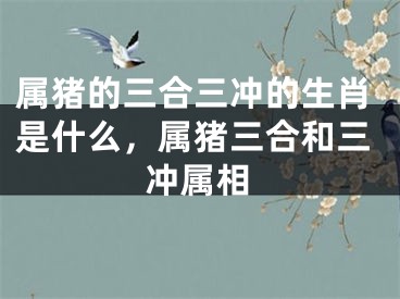 属猪的三合三冲的生肖是什么，属猪三合和三冲属相