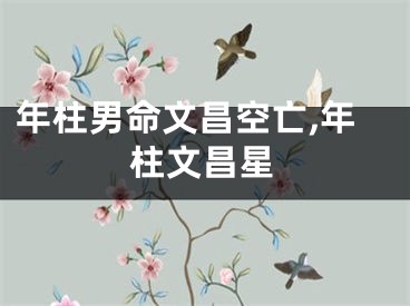 年柱男命文昌空亡,年柱文昌星