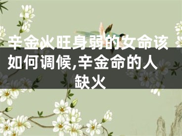 辛金火旺身弱的女命该如何调候,辛金命的人缺火