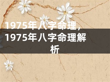 1975年八字命理，1975年八字命理解析