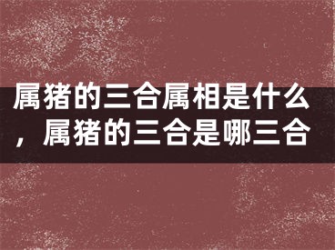 属猪的三合属相是什么，属猪的三合是哪三合