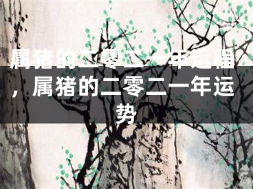 属猪的二零二一年运程，属猪的二零二一年运势