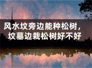 风水坟旁边能种松树,坟墓边栽松树好不好