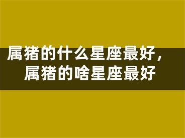 属猪的什么星座最好，属猪的啥星座最好