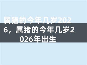 属猪的今年几岁2026，属猪的今年几岁2026年出生