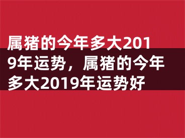 属猪的今年多大2019年运势，属猪的今年多大2019年运势好