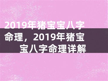 2019年猪宝宝八字命理，2019年猪宝宝八字命理详解