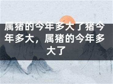 属猪的今年多大了猪今年多大，属猪的今年多大了
