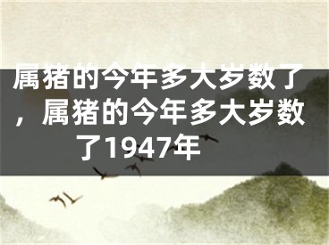 属猪的今年多大岁数了，属猪的今年多大岁数了1947年