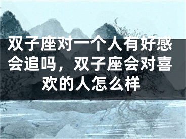 双子座对一个人有好感会追吗,双子座会对喜欢的人怎么样