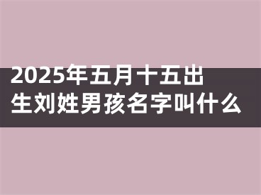 2025年五月十五出生刘姓男孩名字叫什么