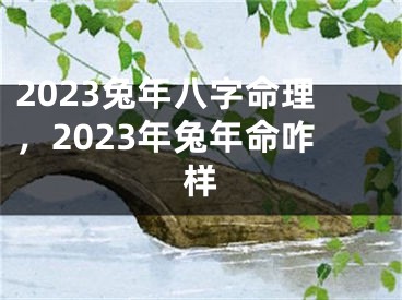 2023兔年八字命理,2023年兔年命咋样
