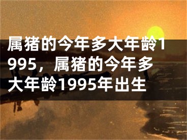 属猪的今年多大年龄1995，属猪的今年多大年龄1995年出生
