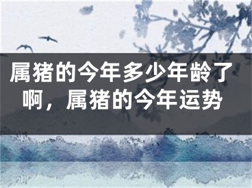 属猪的今年多少年龄了啊，属猪的今年运势