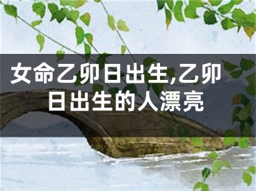 女命乙卯日出生,乙卯日出生的人漂亮