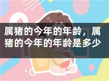属猪的今年的年龄，属猪的今年的年龄是多少