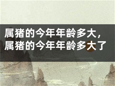 属猪的今年年龄多大，属猪的今年年龄多大了