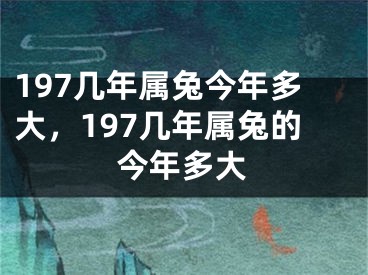 197几年属兔今年多大，197几年属兔的今年多大