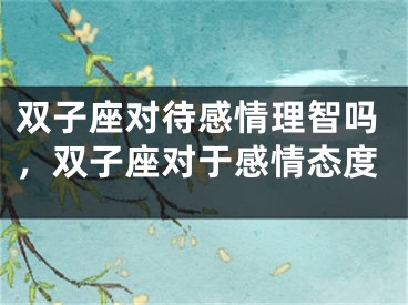 双子座对待感情理智吗，双子座对于感情态度