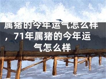 属猪的今年运气怎么样，71年属猪的今年运气怎么样