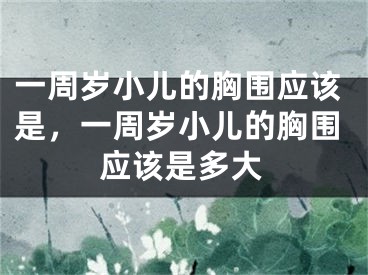 一周岁小儿的胸围应该是,一周岁小儿的胸围应该是多大