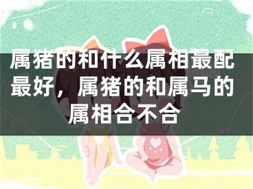 属猪的和什么属相最配最好，属猪的和属马的属相合不合