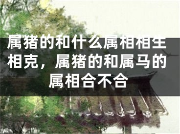 属猪的和什么属相相生相克,属猪的和属马的属相合不合