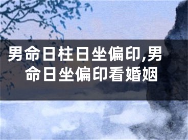 男命日柱日坐偏印,男命日坐偏印看婚姻