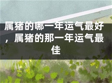属猪的哪一年运气最好，属猪的那一年运气最佳