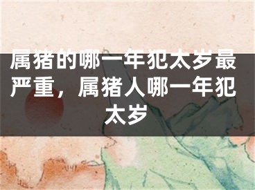 属猪的哪一年犯太岁最严重，属猪人哪一年犯太岁