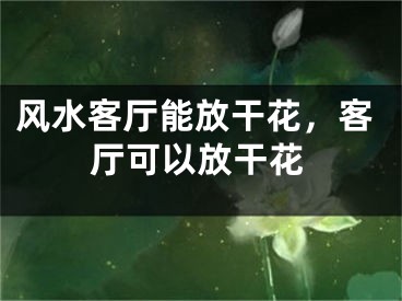 风水客厅能放干花，客厅可以放干花