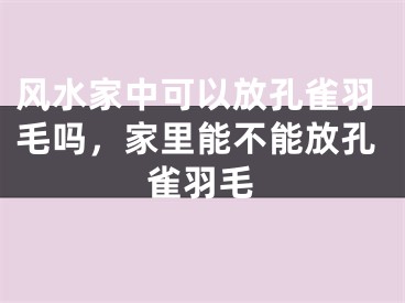 风水家中可以放孔雀羽毛吗,家里能不能放孔雀羽毛