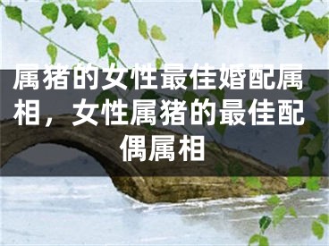 属猪的女性最佳婚配属相，女性属猪的最佳配偶属相