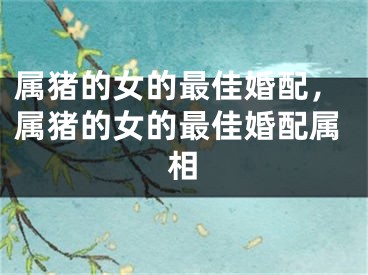 属猪的女的最佳婚配，属猪的女的最佳婚配属相