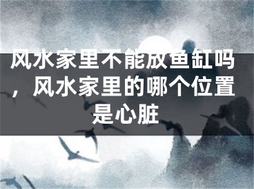 风水家里不能放鱼缸吗，风水家里的哪个位置是心脏