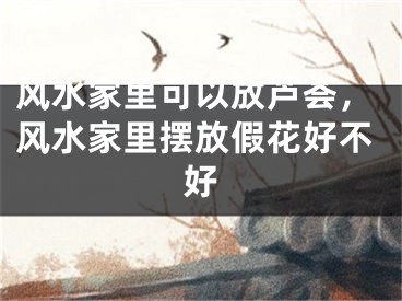 风水家里可以放芦荟，风水家里摆放假花好不好