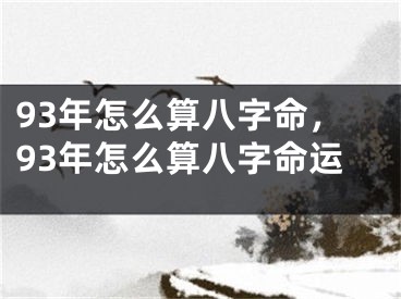 93年怎么算八字命，93年怎么算八字命运